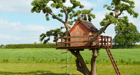 Imaginative Ad Campaign for Nabi DreamTab Takes Root in a Tree House Theme 