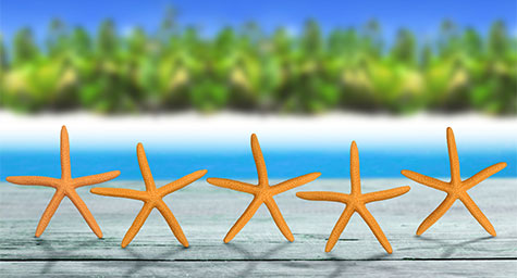 Make Room for Reviews to Bring In Hotel Bookings 