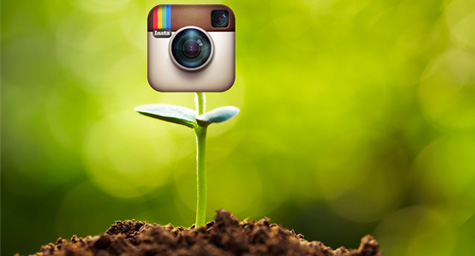 Instagram Captures Attention as Fastest-Growing Social Media Network 