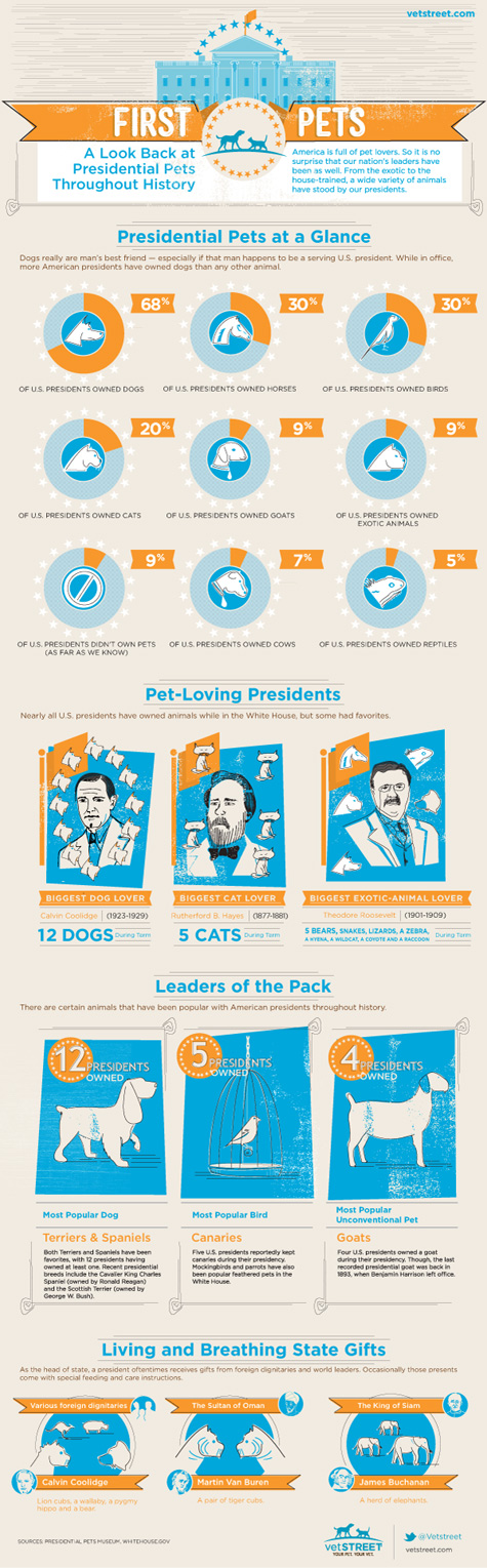 presidential pets a look back at presidential pets throughout history infographic