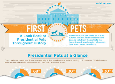 presidential pets a look back at presidential pets throughout history infographic cutoff